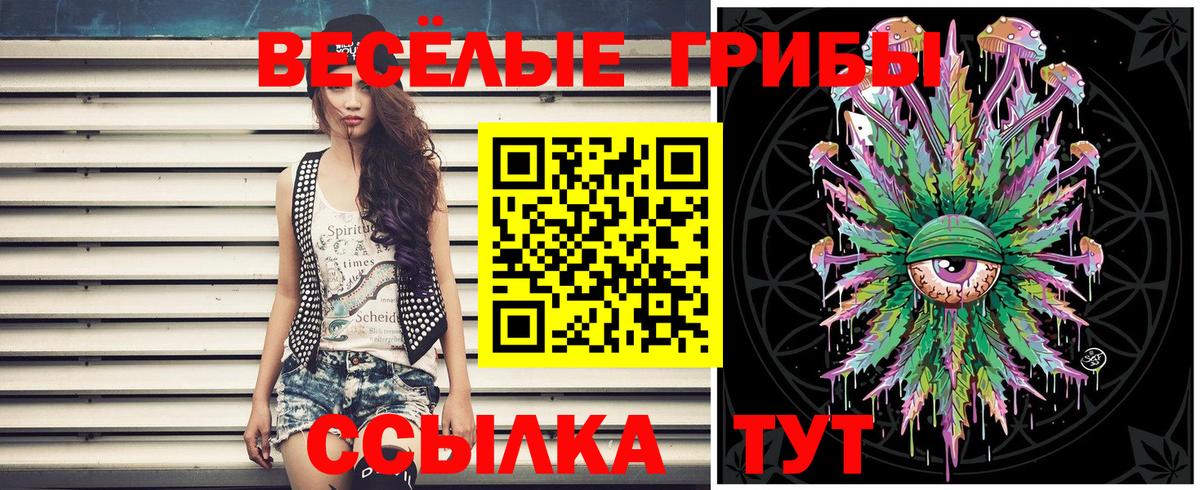 Псилоцибиновые грибы мухоморы Буйнакск