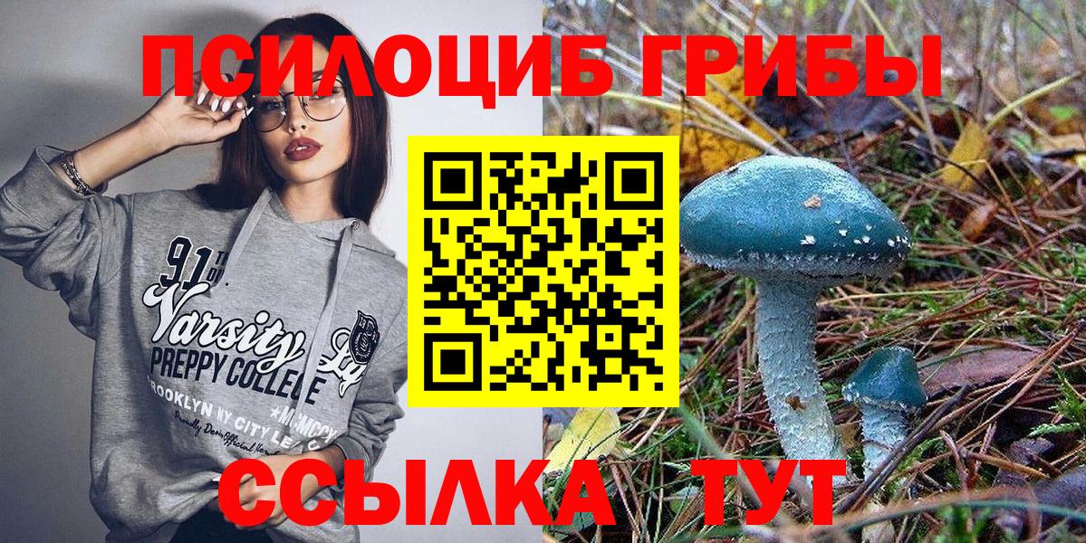 Буйнакск  Галлюциногенные грибы MAGIC MUSHROOMS  Вход с VPN 